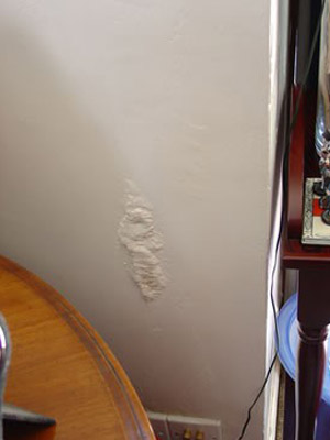 damp-proofing1