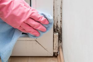 Mold in the window corner. Hand in rubber protective glove with microfiber cloth trying remove it.